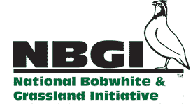 nbgi