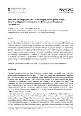 Three new darter species of the Etheostoma percnurum species complex (Percidae, subgenus Catonotus) from the Tennessee and Cumberland River Drainages