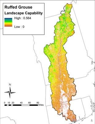 Landscape Capability for Ruffed Grouse