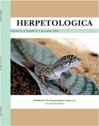 Movement and Habitat Use of Eastern Hellbenders (Cryptobranchus alleganiensis alleganiensis) Following Population Augmentation