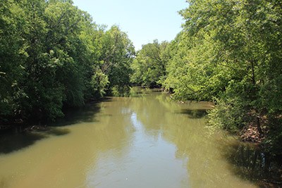 Conasauga River Aquatic Species