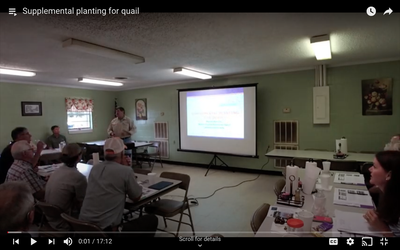 Supplemental planting for quail