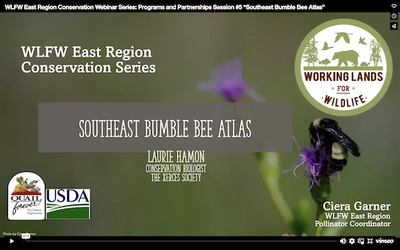 WLFW East Region Conservation Webinar Series: Programs and Partnerships Session #4 “Southeast Bumble Bee Atlas” 