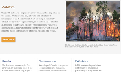 Wildland Fire-Wildfire