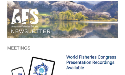 AFS Newsletter Mar 2024