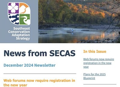 SECAS December 2024 Newsletter