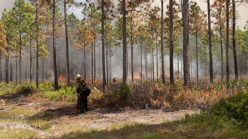 Prescribed Burning Added to USDA CS Practice List