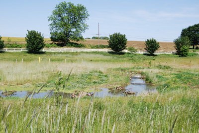 Scientists Uncover Secret In Centuries-Old Mud, Drawing A New Way To Save Polluted Rivers