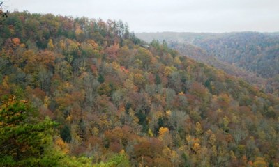 Secretary Jewell Announces Decision to Protect 75,000 Acres of Eastern Tennessee Mountains From Future Surface Mining