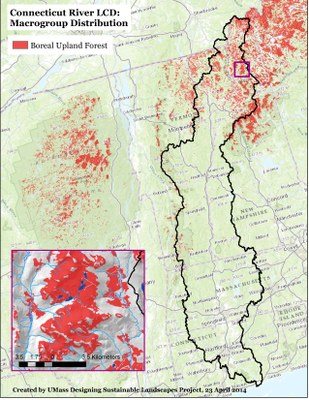 Boreal Upland Forest