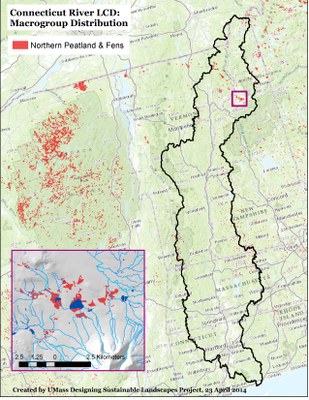 Northern Peatland Fens