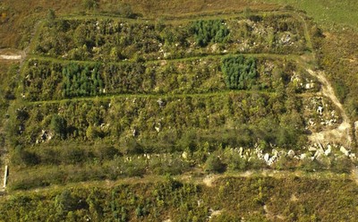 Restoring Coal-Mined Lands to Create Habitat for Imperiled Birds