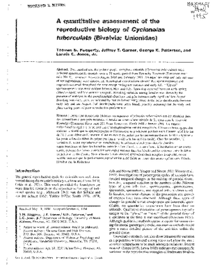 Haggerty et al 1995.pdf