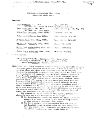 Stansbery 1976 Cumberlandia monodonta.pdf