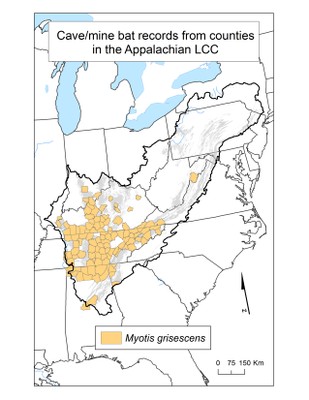 County Occurrence Map for Gray Bat