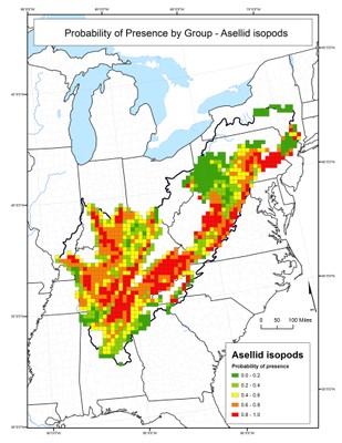 Probability of Presence for Asellid Isopods