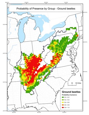 Probability of Presence for Ground Beetles