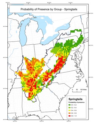 Probability of Presence for Springtails