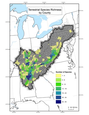 Terrestrial Species Richness by County