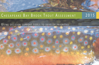 Chesapeake Bay Brook Trout Assessment